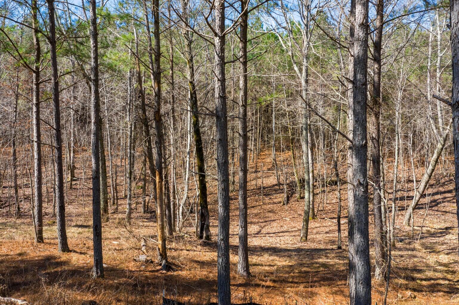 Compass Drive #RB114, Jasper, Tennessee image 8