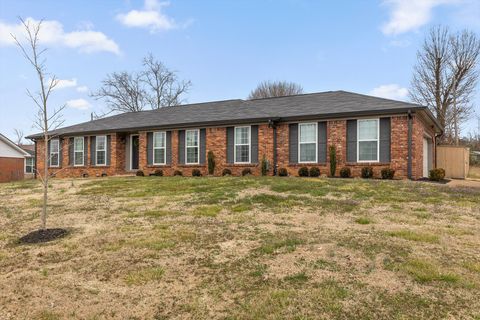 Tiny photo for 8113 Holly Hills Lane, Chattanooga, TN 37421 (MLS # 1529404)