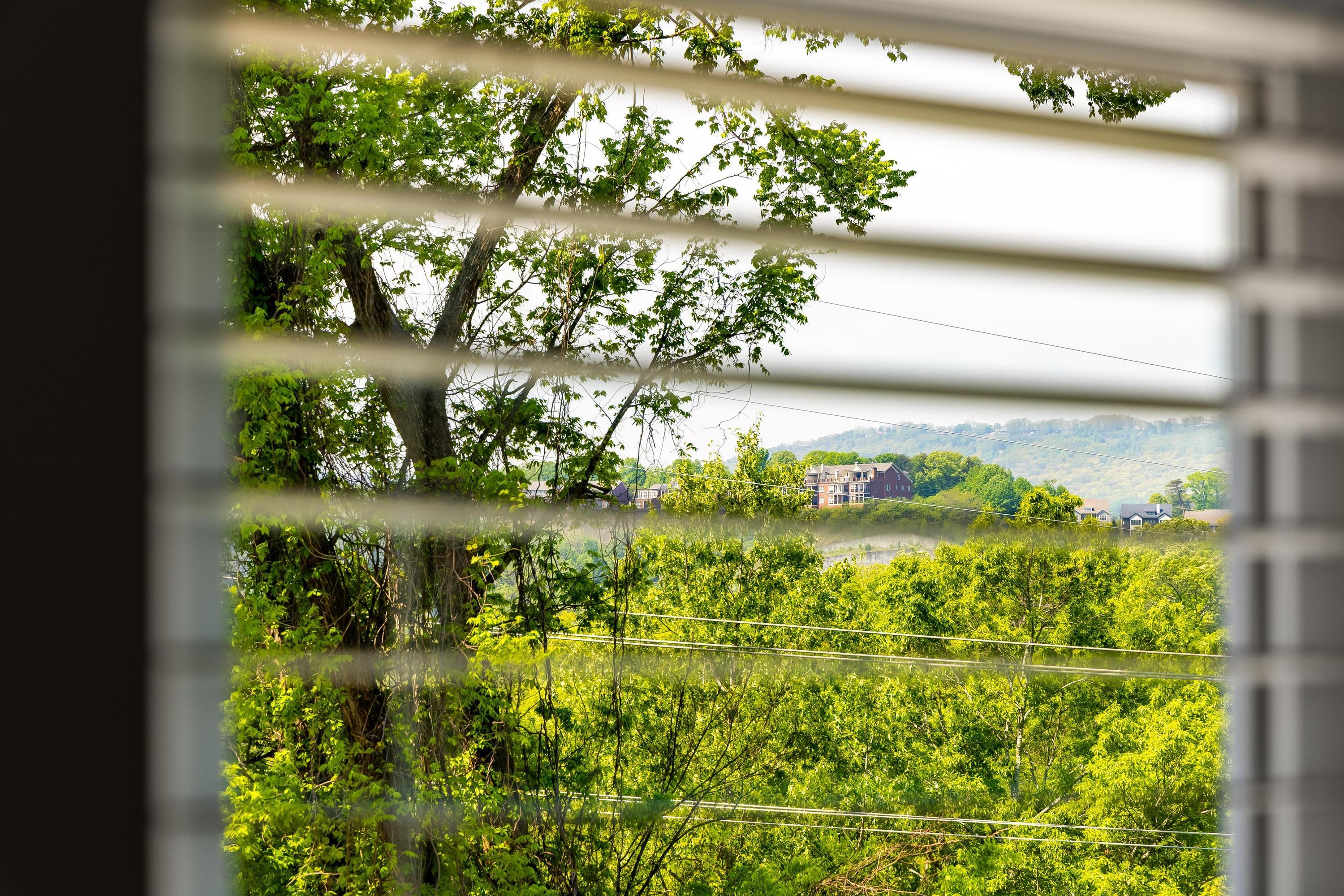 122 Parapet Trail, Chattanooga, Tennessee image 36