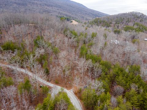 Tiny photo for 45 Valley Rim Drive, Chickamauga, GA 30707 (MLS # 1530049)