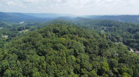 Photo of 0 Browntown Road, Chattanooga, TN 37415 (MLS # 1519397)