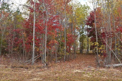 Tiny photo for 0 Crockett Point, Jasper, TN 37347 (MLS # 1508614)