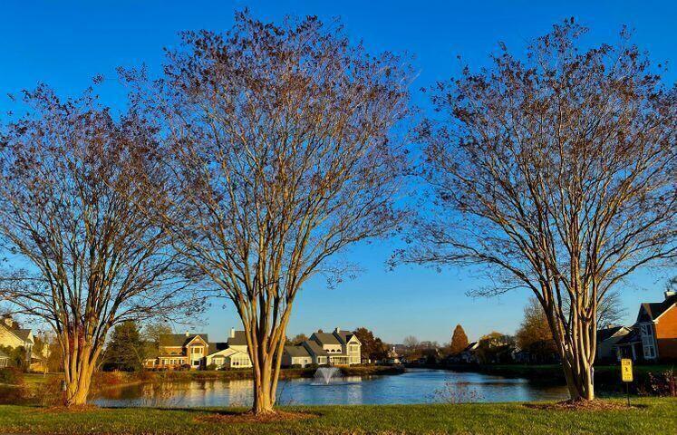 1500 Heritage Landing Drive, Chattanooga, Tennessee image 27