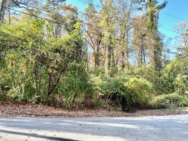 6830 Buck Trail Drive, Harrison, Tennessee image 3