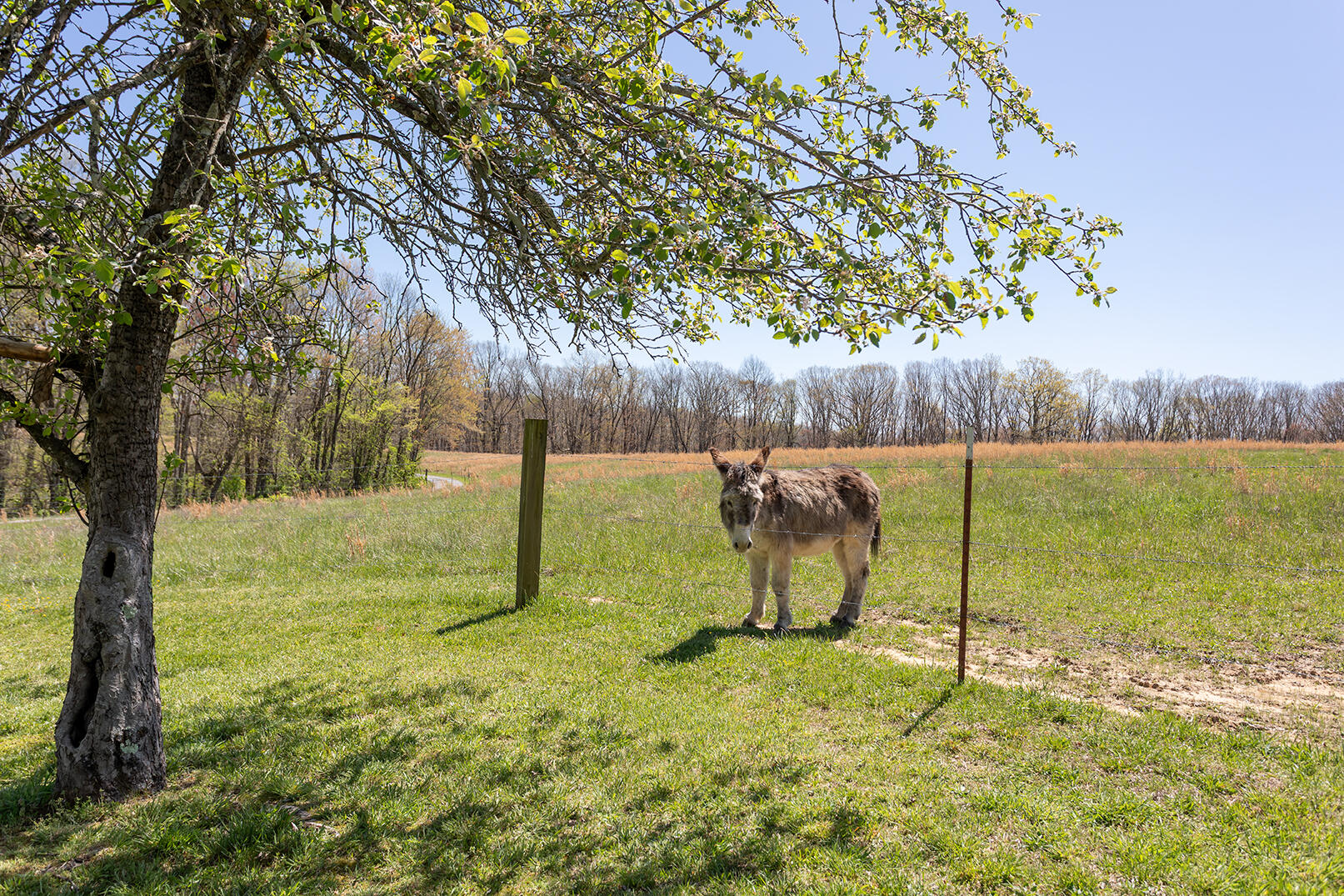 175 Twitty Road, Dunlap, Tennessee image 45