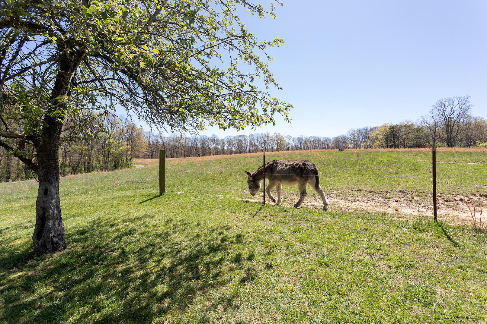 175 Twitty Road, Dunlap, Tennessee image 44