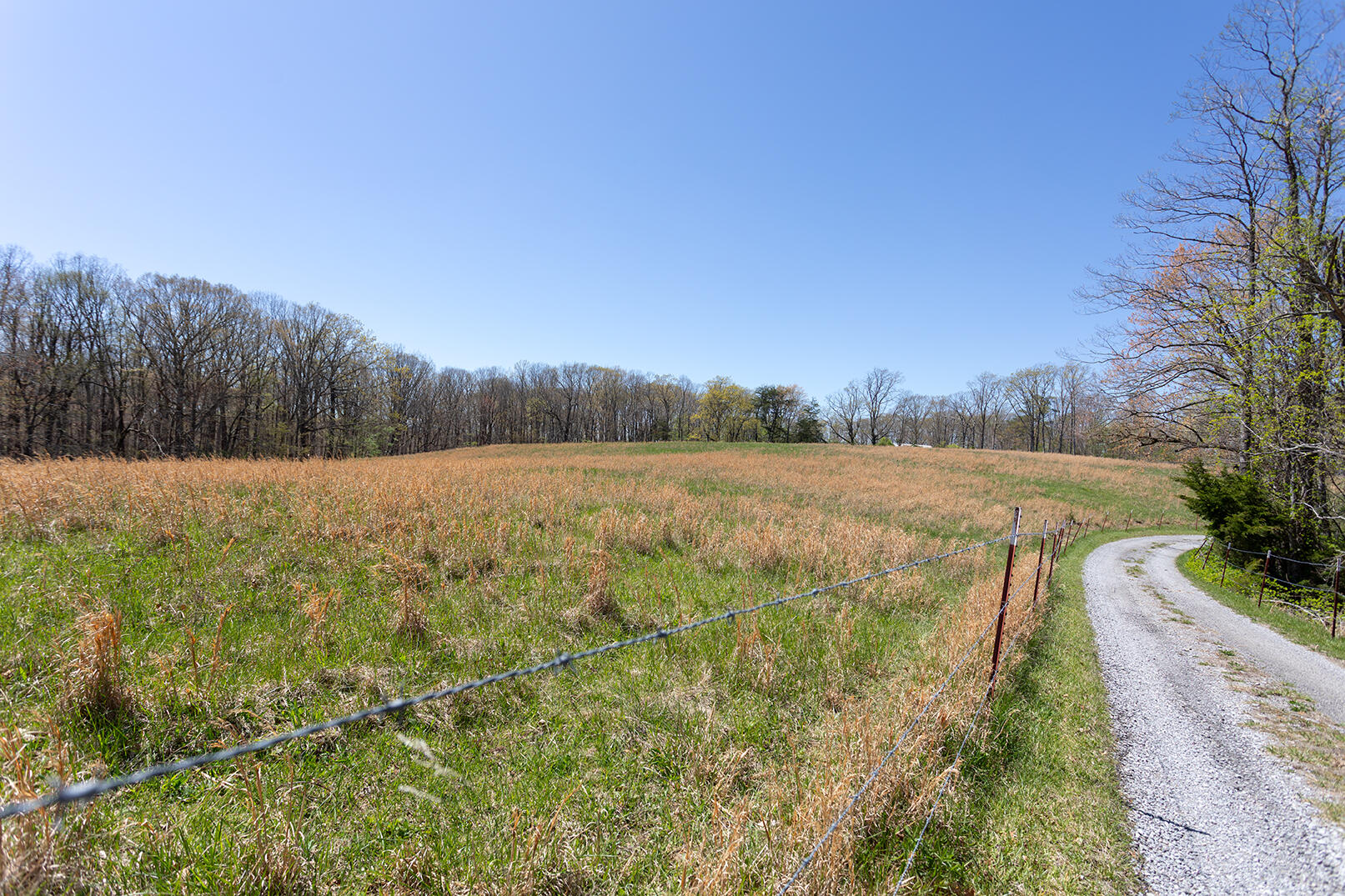 175 Twitty Road, Dunlap, Tennessee image 47