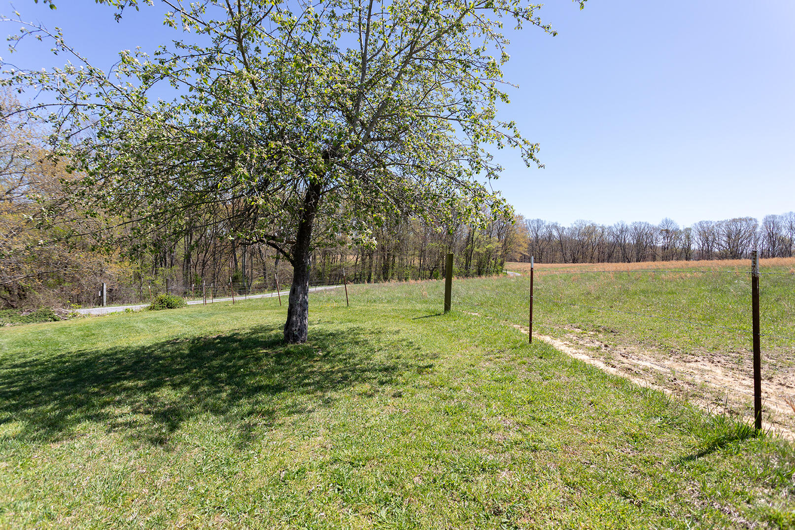 175 Twitty Road, Dunlap, Tennessee image 42