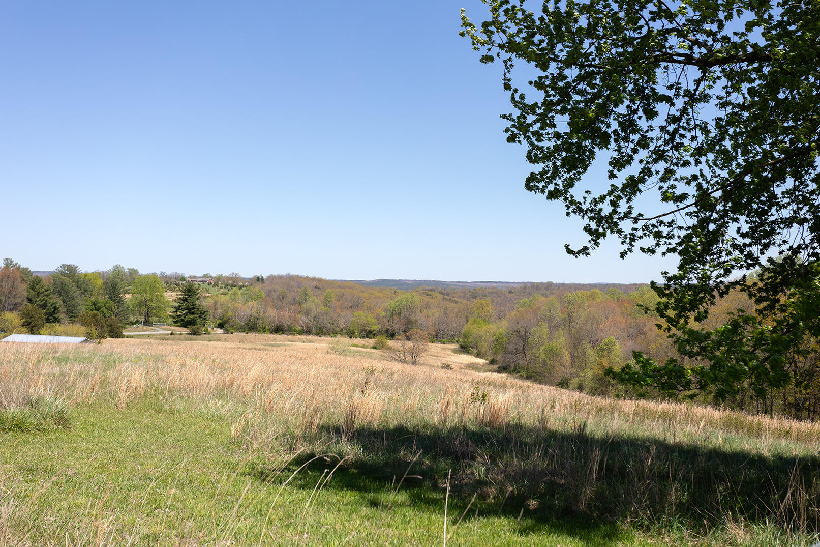 175 Twitty Road, Dunlap, Tennessee image 39
