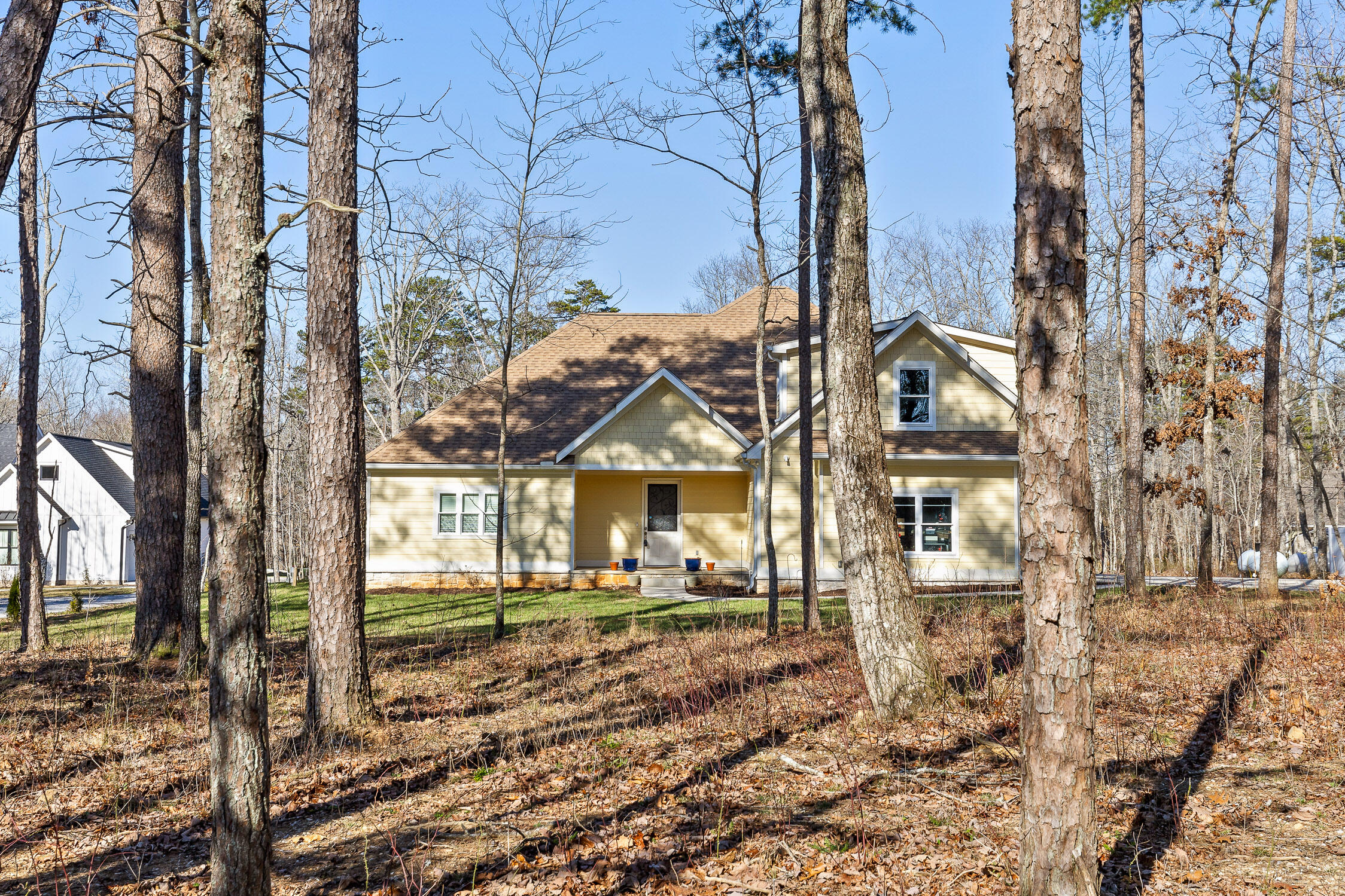 8229 Hixson Springs Road, Signal Mountain, Tennessee image 40