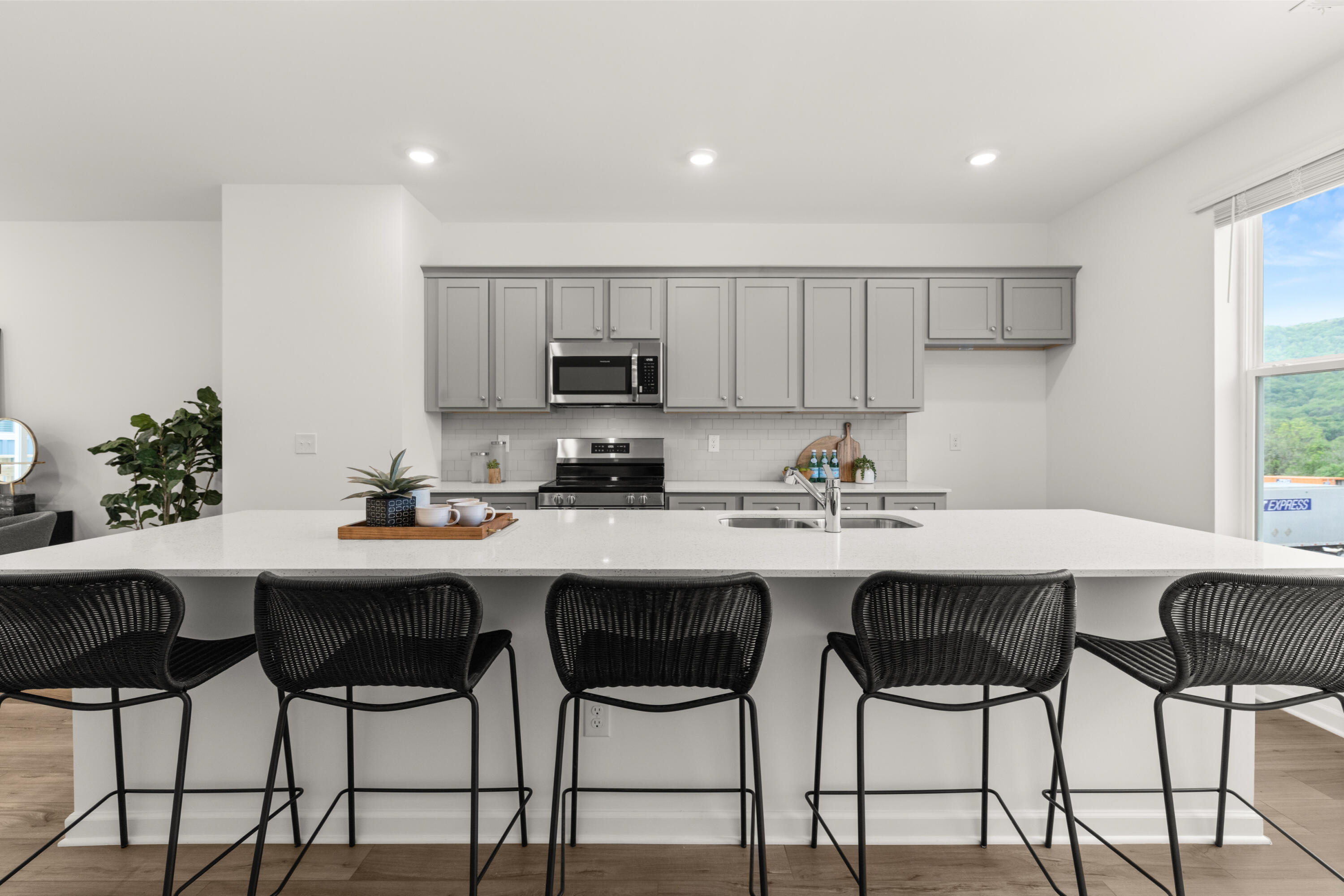 204 Asbury Oak Lane, Chattanooga, Tennessee image 2