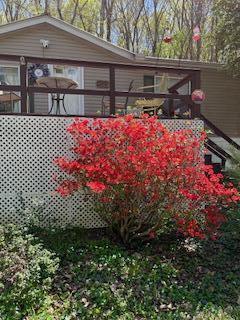 9842 County Road 91, Bryant, Alabama image 49