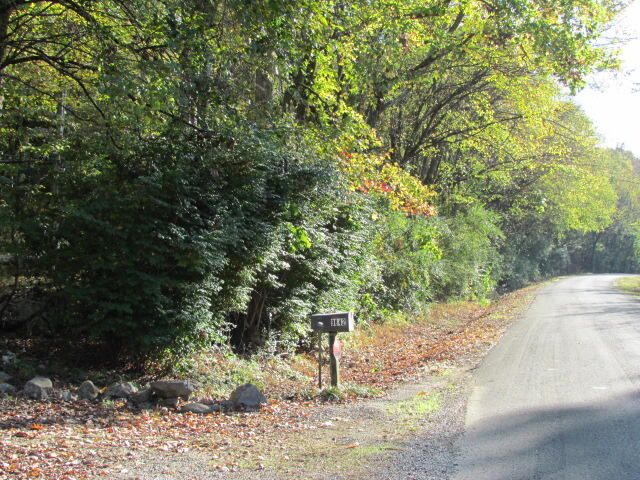 9842 County Road 91, Bryant, Alabama image 2