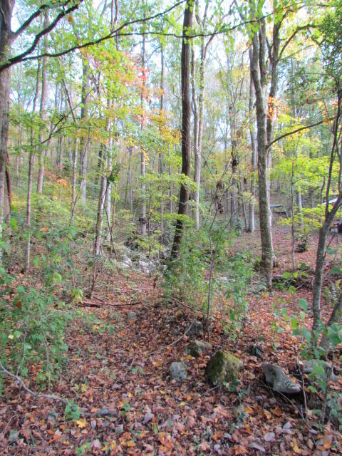9842 County Road 91, Bryant, Alabama image 5