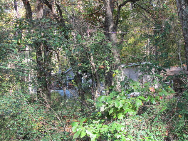 9842 County Road 91, Bryant, Alabama image 43