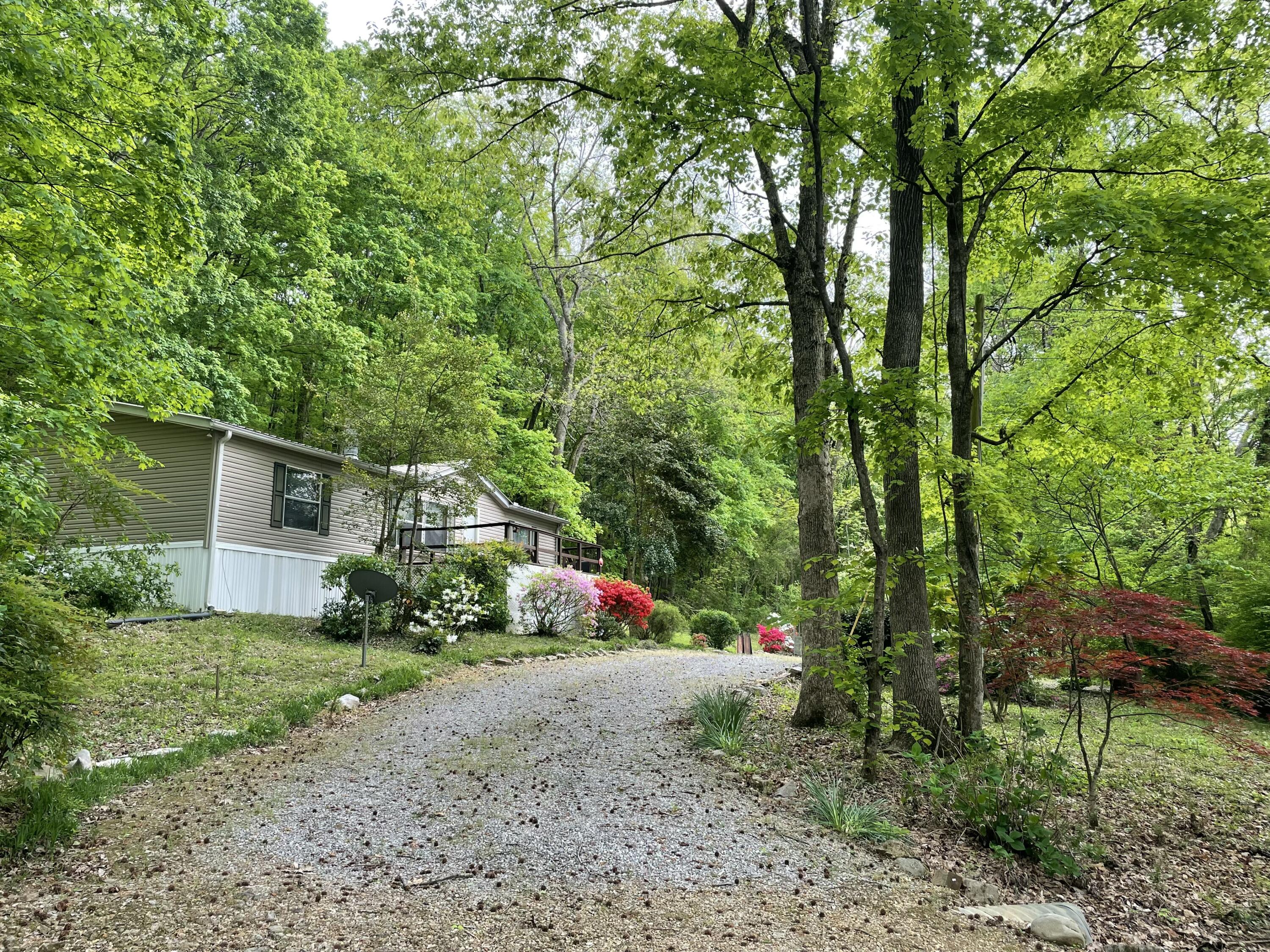 9842 County Road 91, Bryant, Alabama image 1