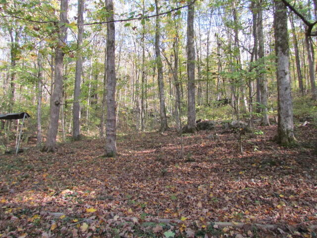 9842 County Road 91, Bryant, Alabama image 16