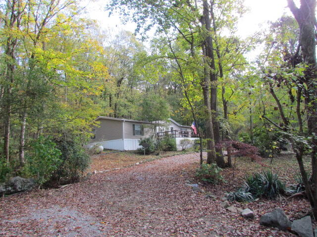 9842 County Road 91, Bryant, Alabama image 3