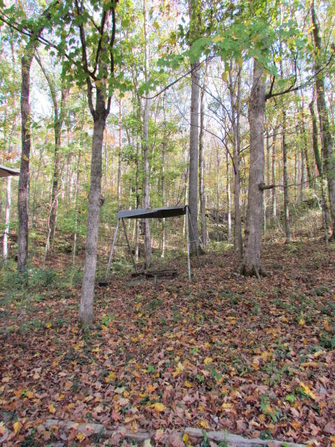 9842 County Road 91, Bryant, Alabama image 22