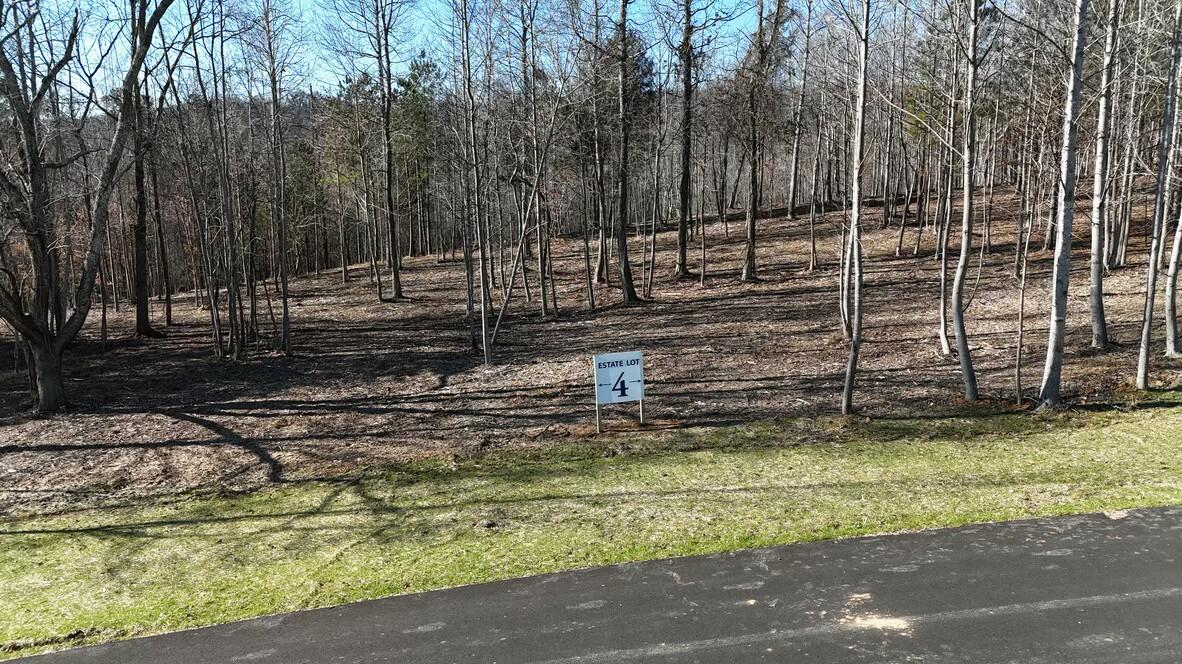 6125 Gilchrist Lane #LOT 4, McDonald, Tennessee image 2