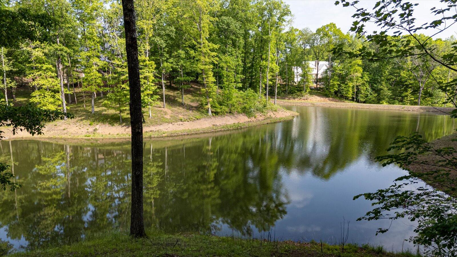 115 Tremolat Lane, Cleveland, Tennessee image 22