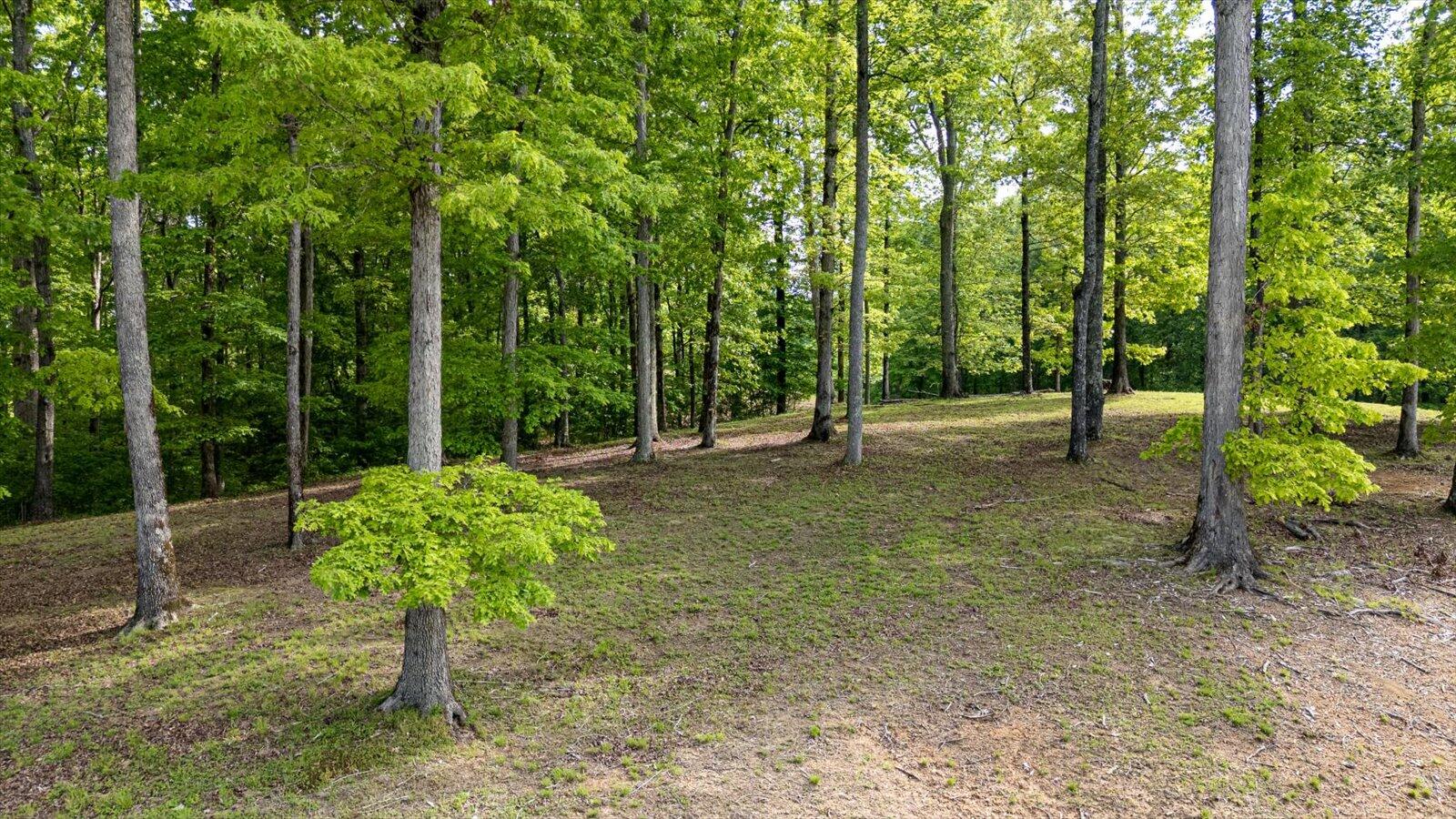 115 Tremolat Lane, Cleveland, Tennessee image 14