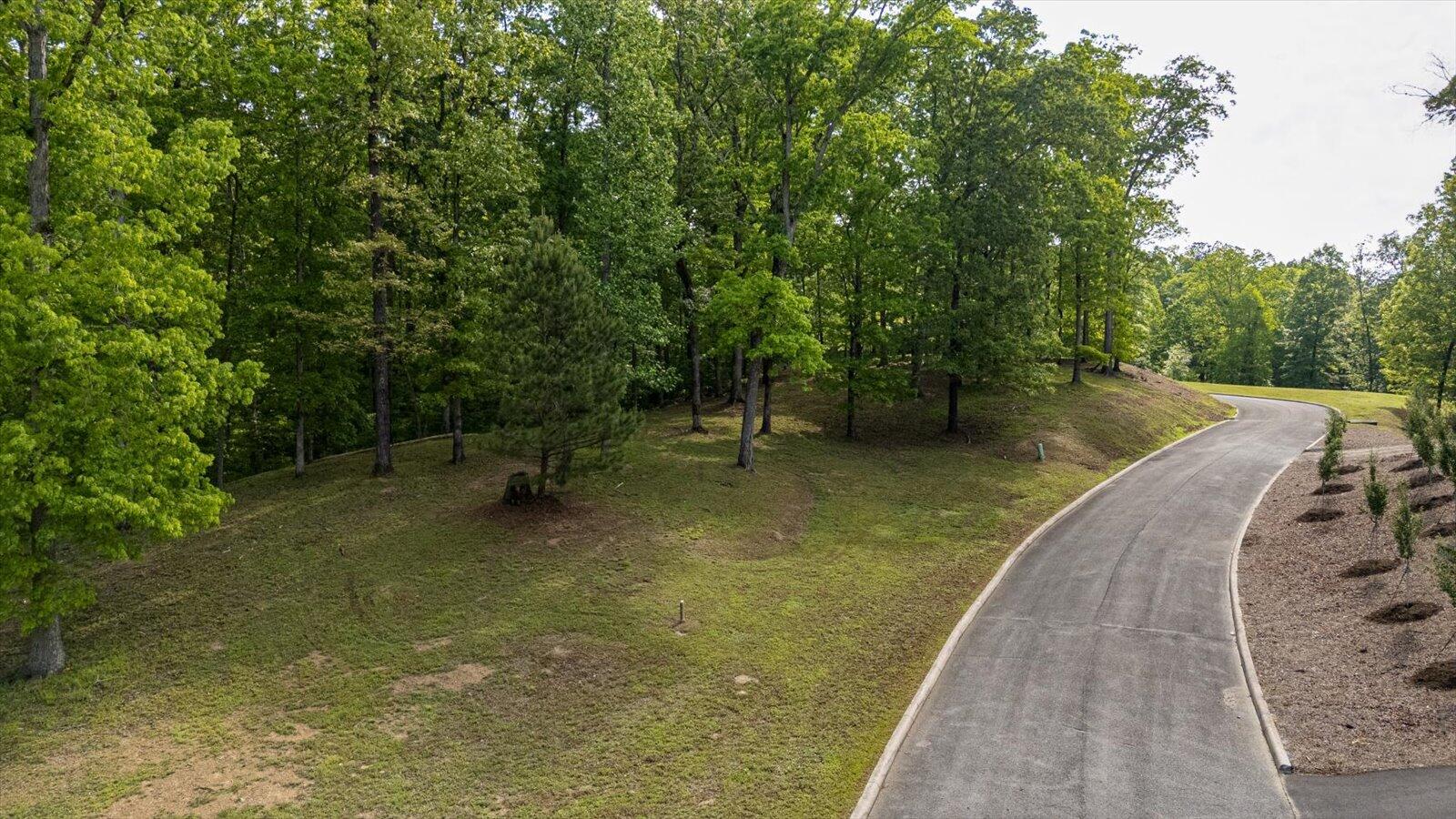 115 Tremolat Lane, Cleveland, Tennessee image 15