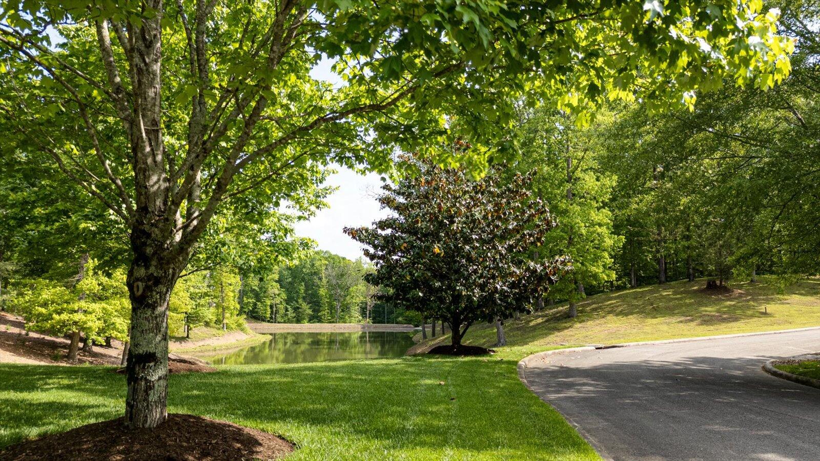 115 Tremolat Lane, Cleveland, Tennessee image 5