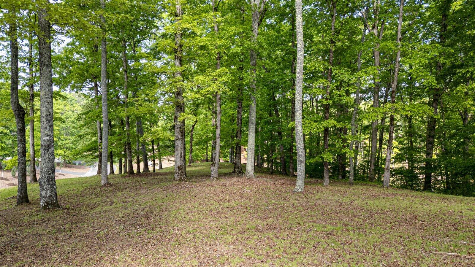 115 Tremolat Lane, Cleveland, Tennessee image 11