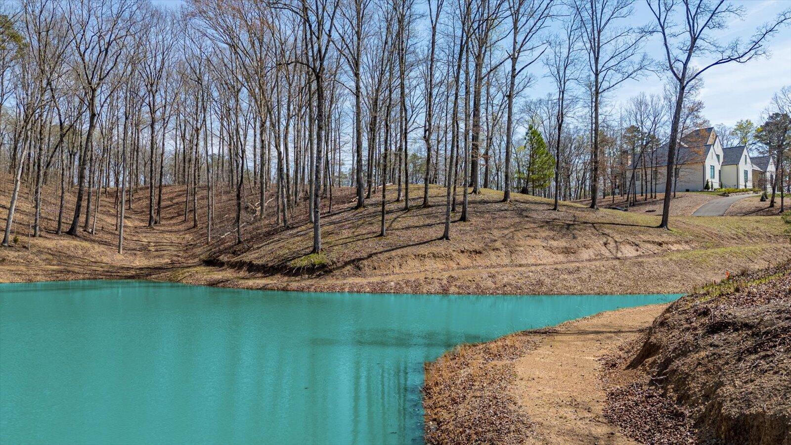 115 Tremolat Lane, Cleveland, Tennessee image 38