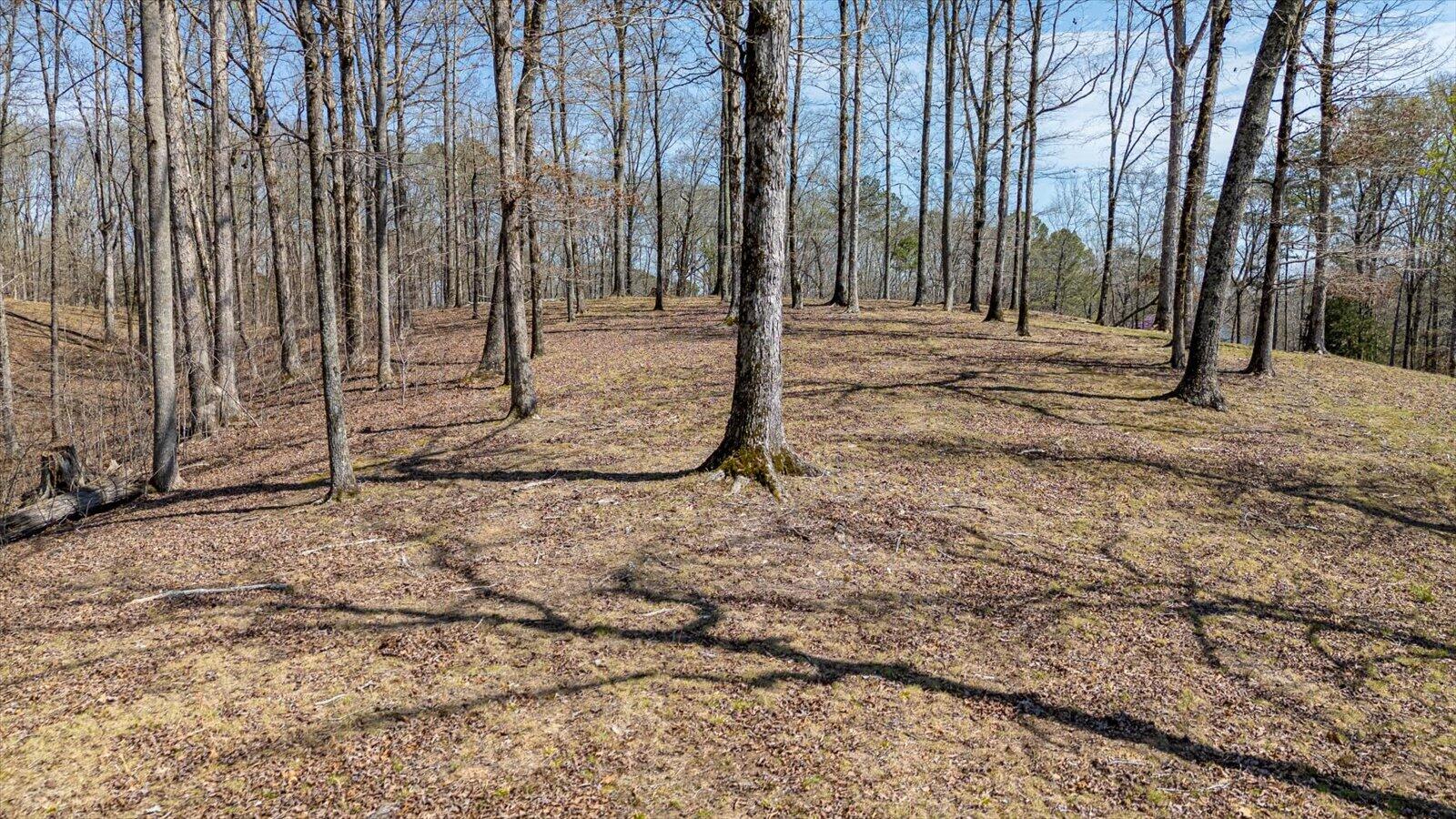 115 Tremolat Lane, Cleveland, Tennessee image 16