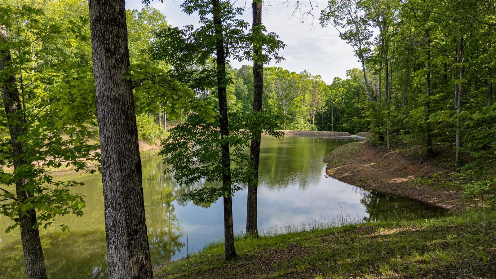 115 Tremolat Lane, Cleveland, Tennessee image 23
