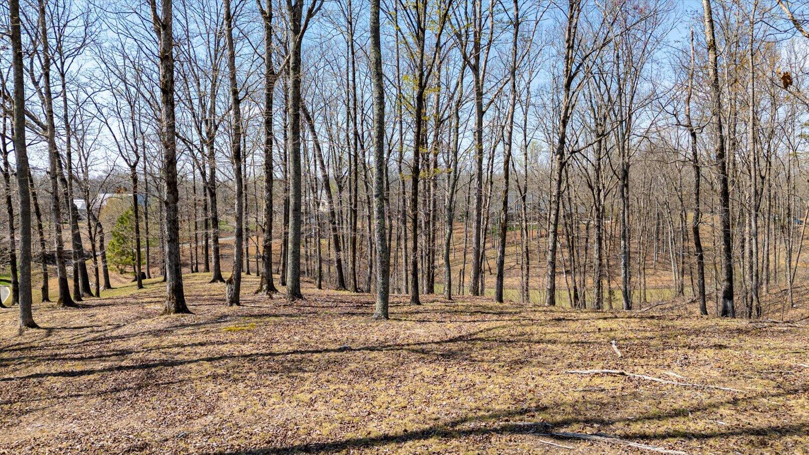 115 Tremolat Lane, Cleveland, Tennessee image 17