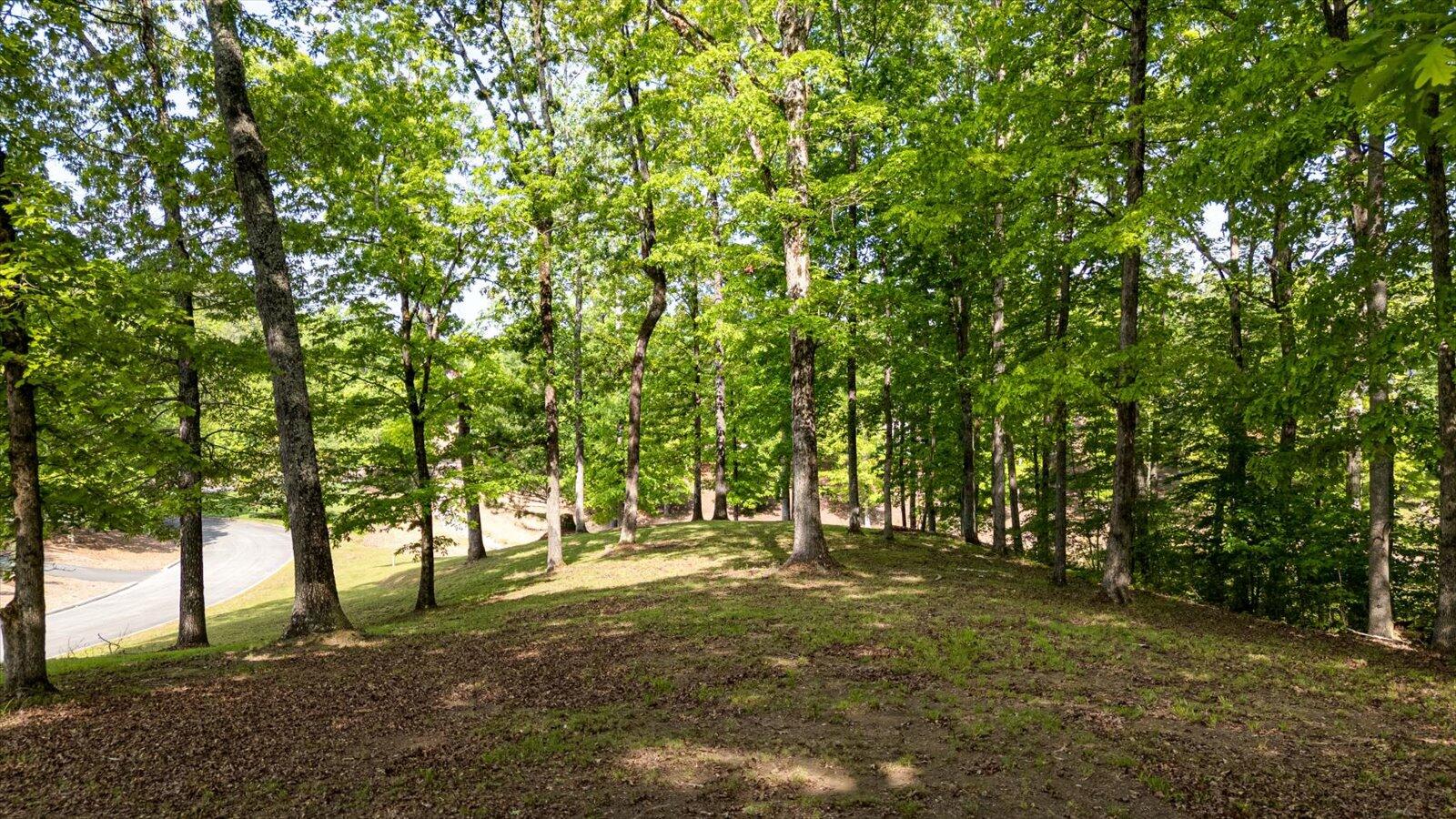 115 Tremolat Lane, Cleveland, Tennessee image 26