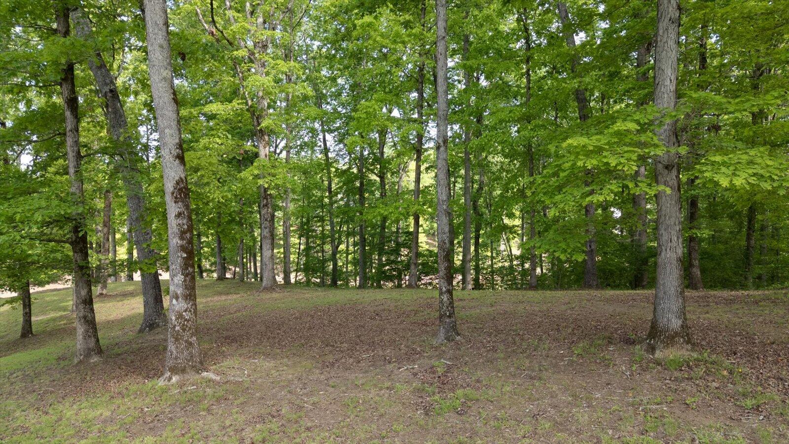 115 Tremolat Lane, Cleveland, Tennessee image 12