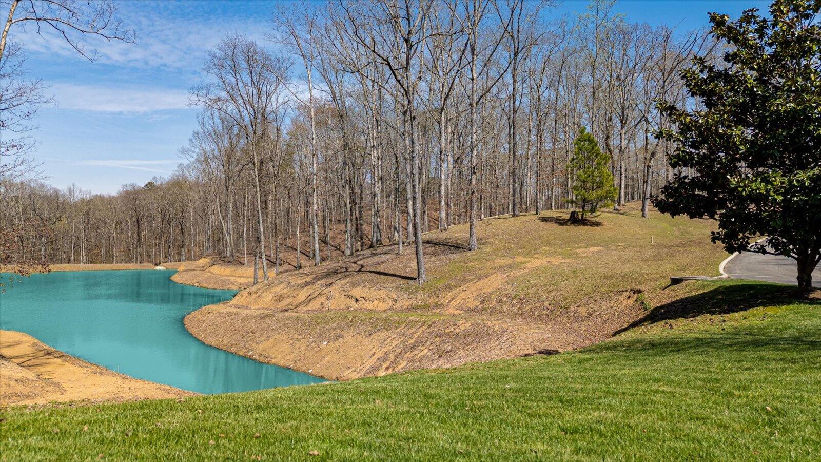 115 Tremolat Lane, Cleveland, Tennessee image 24