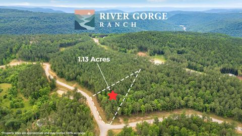 Vacant Land For Sale - 1108 Birds Eye Way<br/> Marion County, Guild, TN 37340