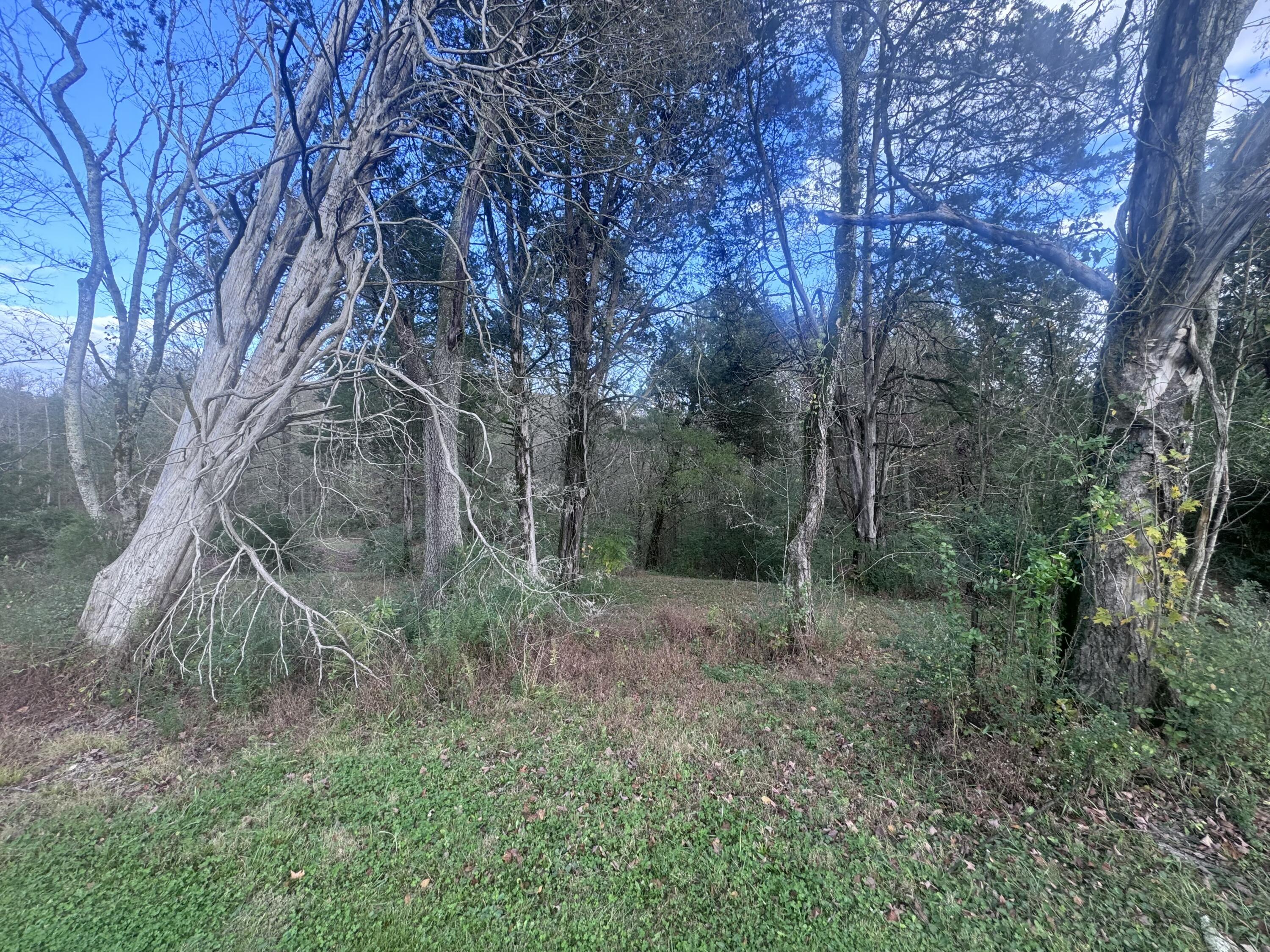 Georgetown Road #LOT 1, Cleveland, Tennessee image 6