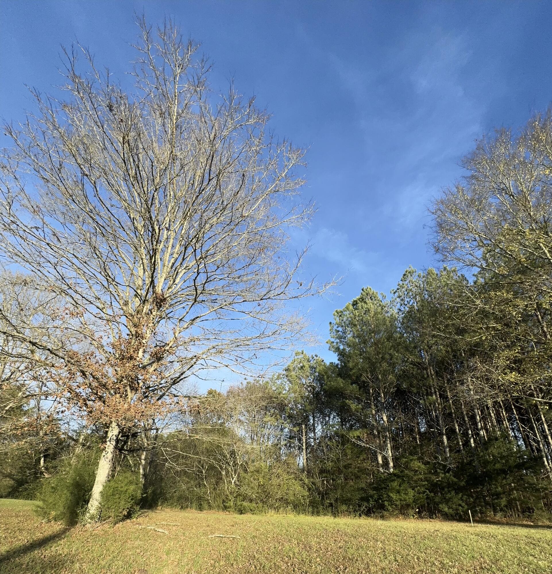 Georgetown Road #LOT 1, Cleveland, Tennessee image 3