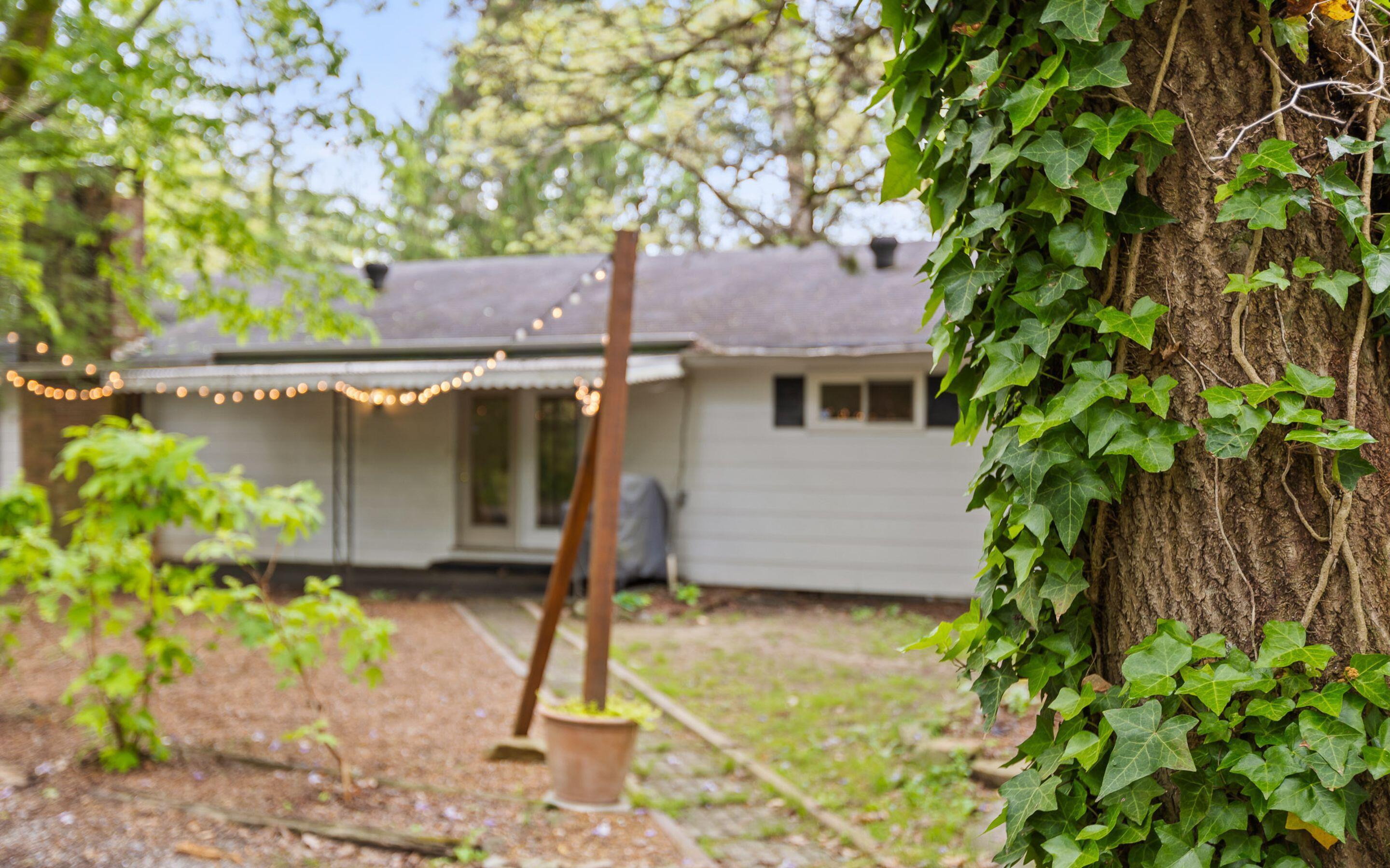609 Albert Road, Signal Mountain, Tennessee image 26