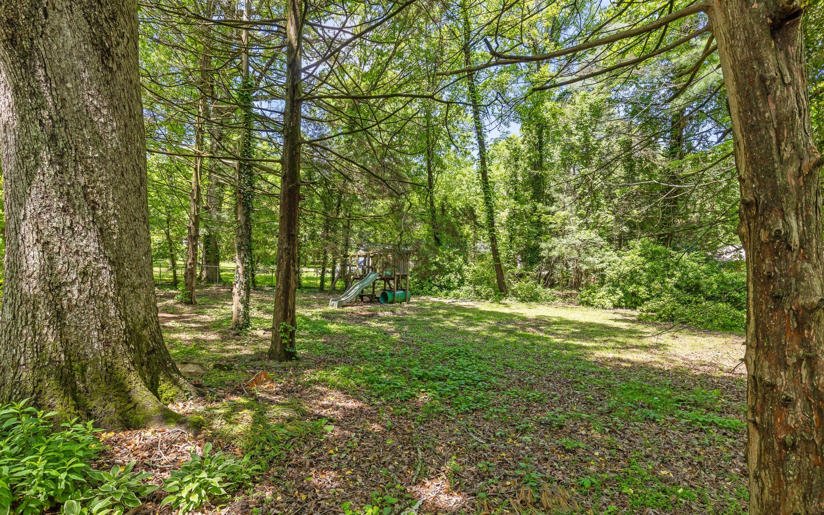 609 Albert Road, Signal Mountain, Tennessee image 31