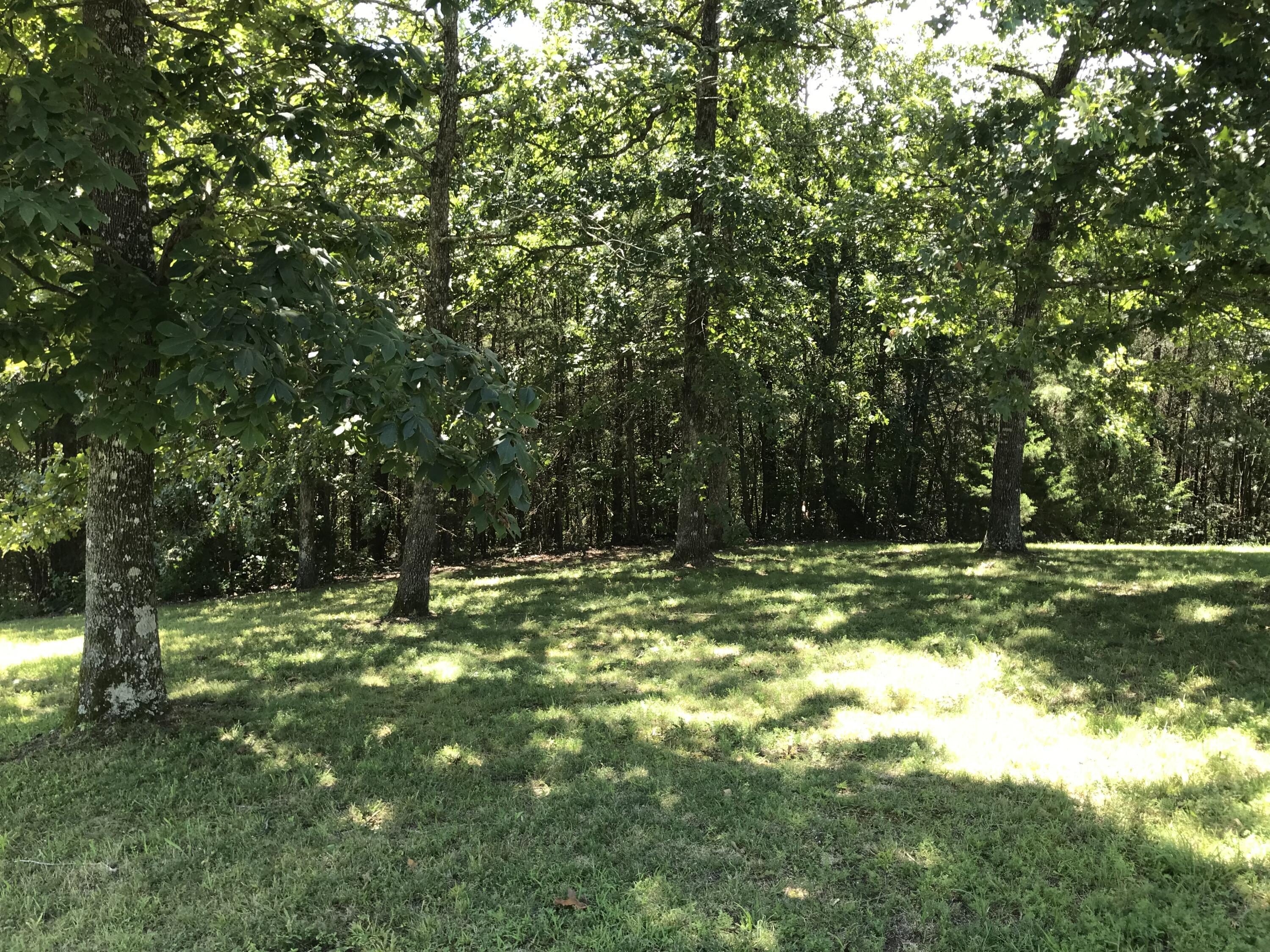 Skyhigh Drive #2324, Dunlap, Tennessee image 11