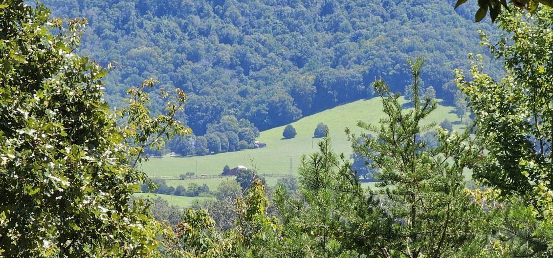 Skyhigh Drive #2324, Dunlap, Tennessee image 14