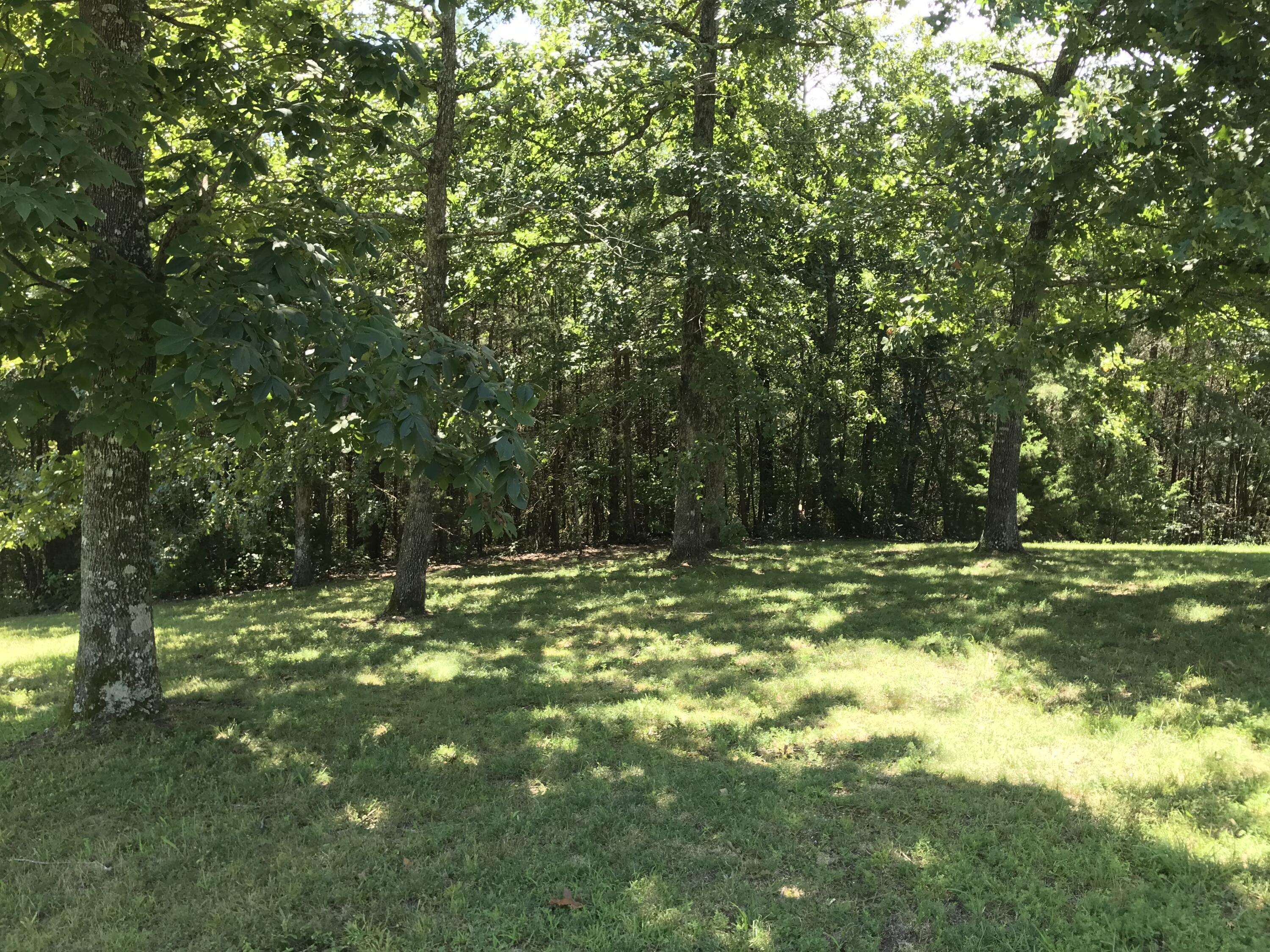 Skyhigh Drive #2324, Dunlap, Tennessee image 8
