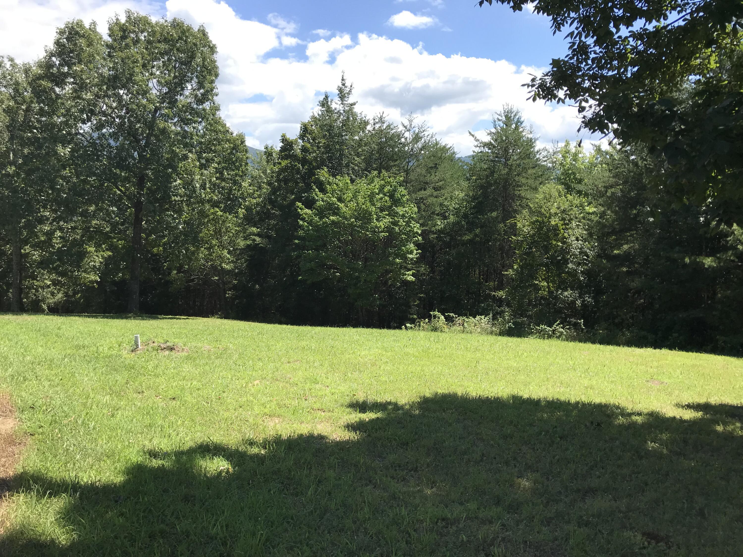 Skyhigh Drive #2324, Dunlap, Tennessee image 10