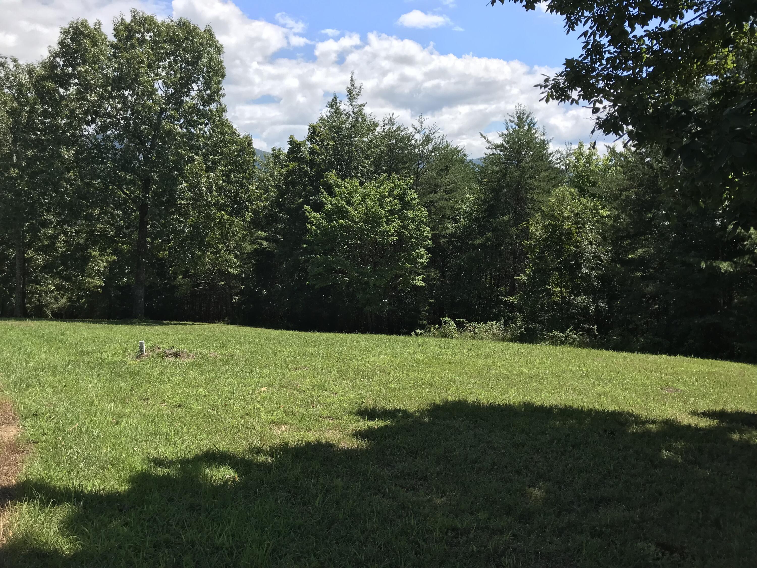 Skyhigh Drive #2324, Dunlap, Tennessee image 9