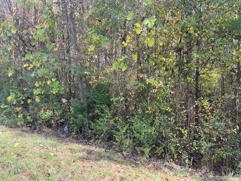 Photo of 0 Probasco Street, LaFayette, GA 30728 (MLS # 1503555)