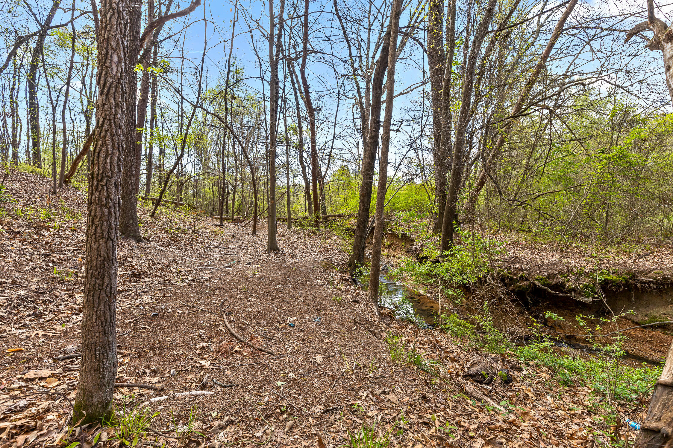 5925 Winding Lane, Hixson, Tennessee image 3