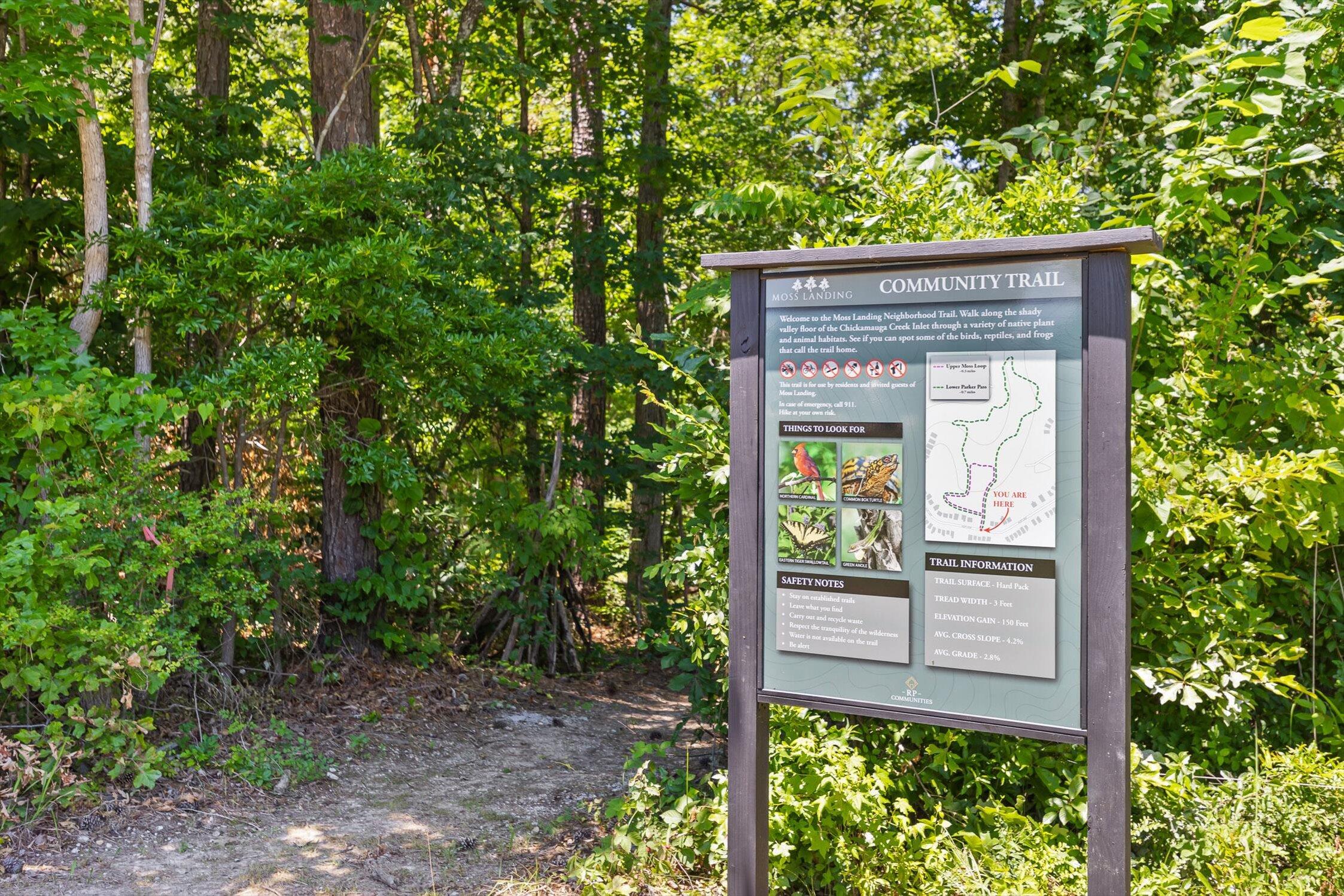 3814 Inlet Loop, Chattanooga, Tennessee image 41