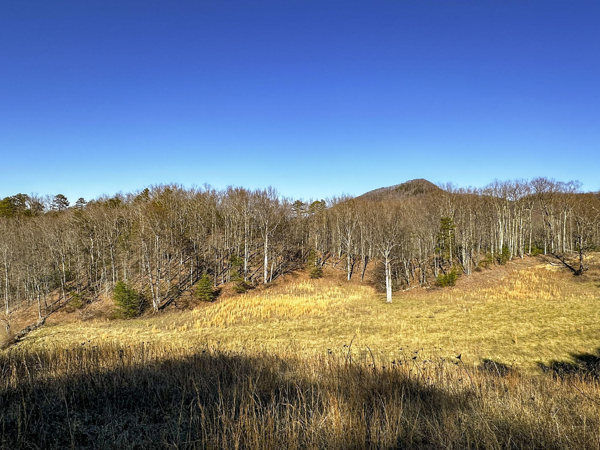 2945 Peacock Lane, Dandridge, Tennessee image 20